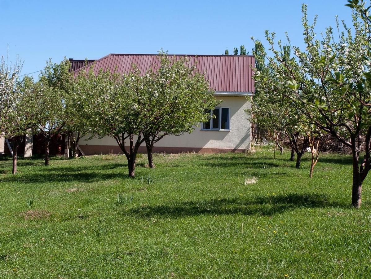 Barskoon Guest House מראה חיצוני תמונה